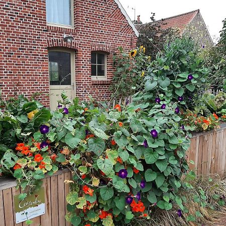 Вилла Les Jardins D'Olus Wandignies-Hamage Экстерьер фото